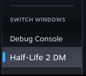 A screenshot of the Steam launch options in place