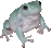 a little tiny frog on your screen